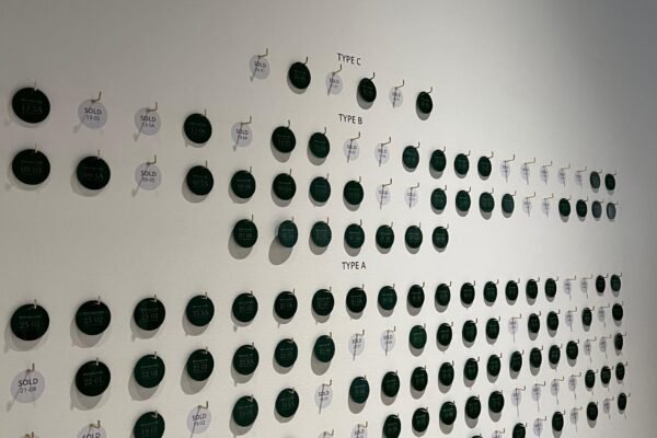 WhatsApp Image 2025-12-10 at 14.43.43 (1)